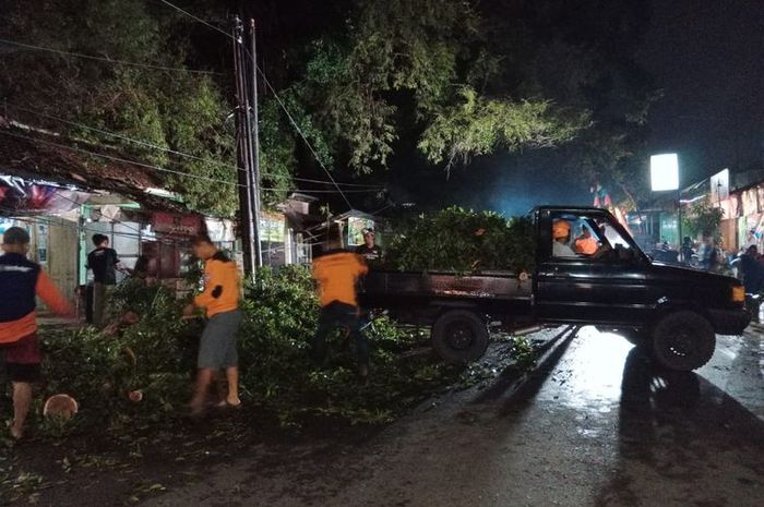 Suasana pembersihan lokasi dahan pohon Asam patah menimpa pengendara Jupiter Z