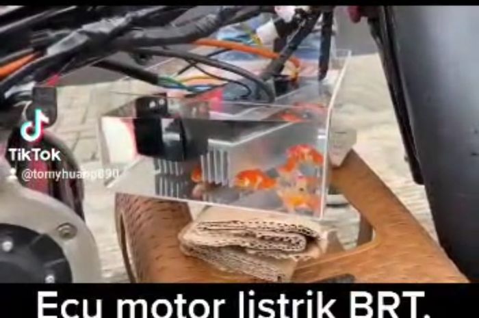 Percobaan ekstrem ECU motor listrik bikinan BRT direndam dalam air yang ada ikannya