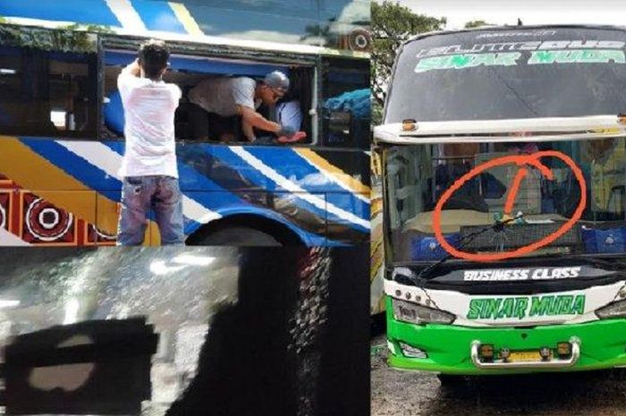 Sejumlah armada bus PO Sinar Muda jadi korban pelemparan batu oleh OTK di Jalur Trans Sulawesi.