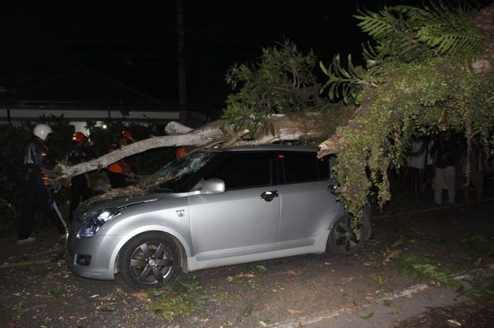 Suzuki Swift digebrak pohon saat sedang melaju