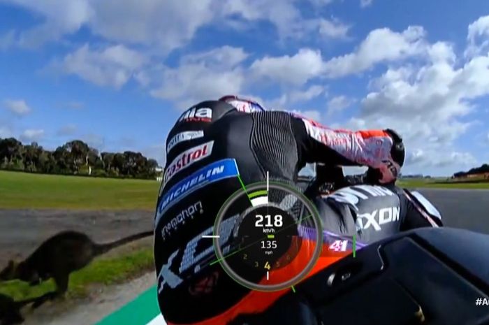 Aleix Espargaro nyaris menabrak Walabi di sirkuit Phillip Island di FP1 MotoGP Australia 2022 (14/10)