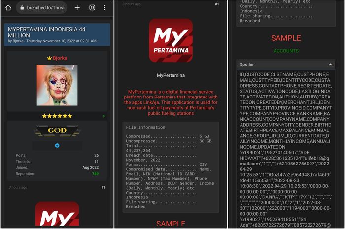 Bjorka membocorkan informasi 44 juta pengguna aplikasi MyPertamina ke breached.to.