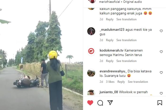 Honda Scoopy dan mobil sampai berhenti, gara-gara ada ayam kalkun di tengah jalan.