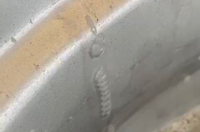 Keluar gelembung udara ketika punggung pelek ditetesi air sabun