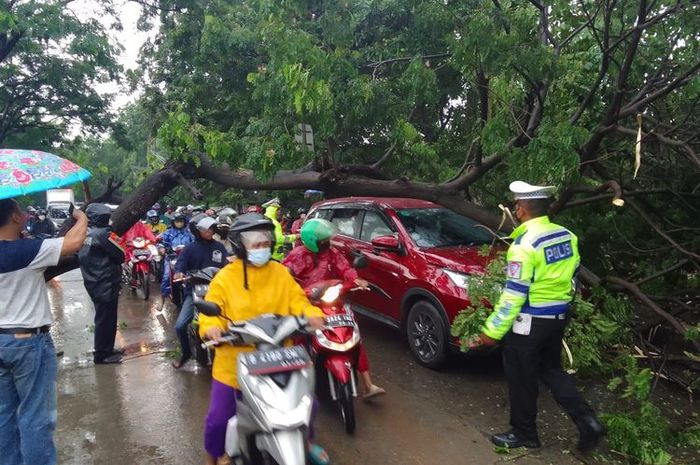 Daihatsu Terios merah tertimpa pohon tumbang di JORR Cengkareng, Jakarta Barat