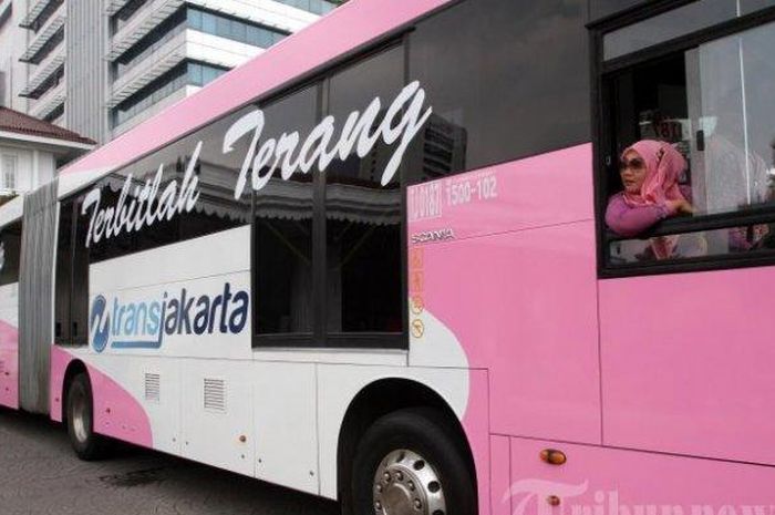 Ilustrasi bus Transjakarta khusus wanita atau bus pink  