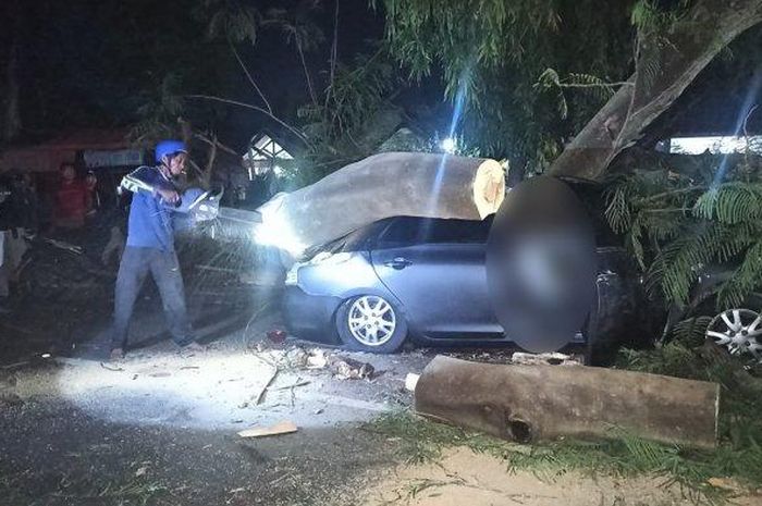 Polisi bersama Badan Penanggulangan Bencana Daerah (BPBD) mengevakuasi pohon tumbang yang menimpa mobil di Jember, Sabtu (10/12/2022)