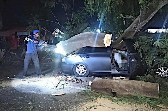 Toyota Vios digebrak pohon sengon, pengemudi tewas di tempat