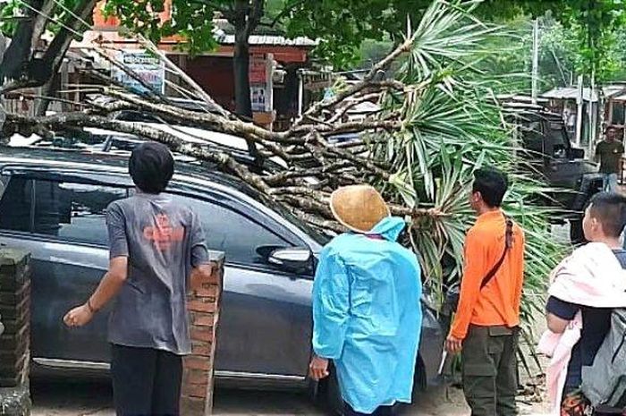 Dua mobil wisatawan tertimpa pohon tumbang di Pantai Pulang Sawal, Gunungkidul akibat hujan angin pada Jumat (23/12/2022).