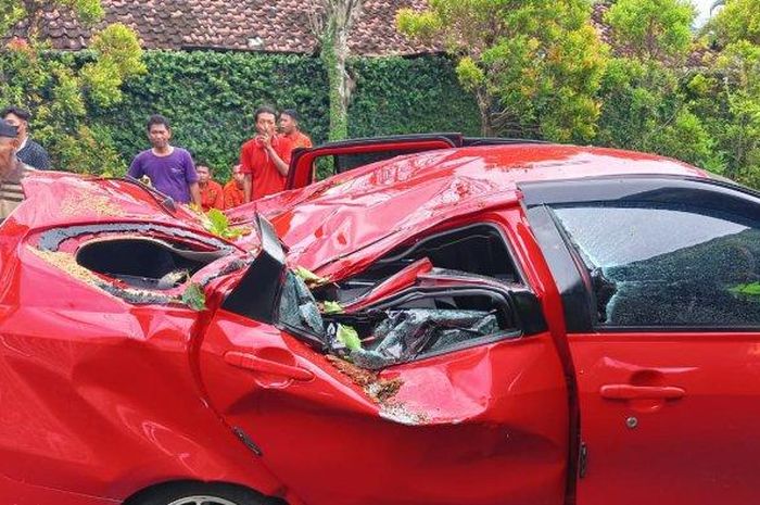 Toyota Calya bonyok ditimpa pohon trembesi saat dalam perjalanan menuju kebun binatang