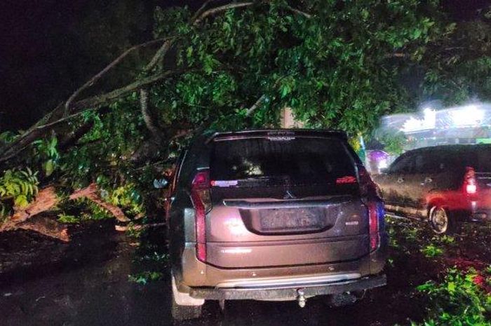 Mitsubishi Pajero Sport ditimpa pohon mahoni tumbang di depan pasar Trangkil, kabupaten Pati, Jawa Tengah