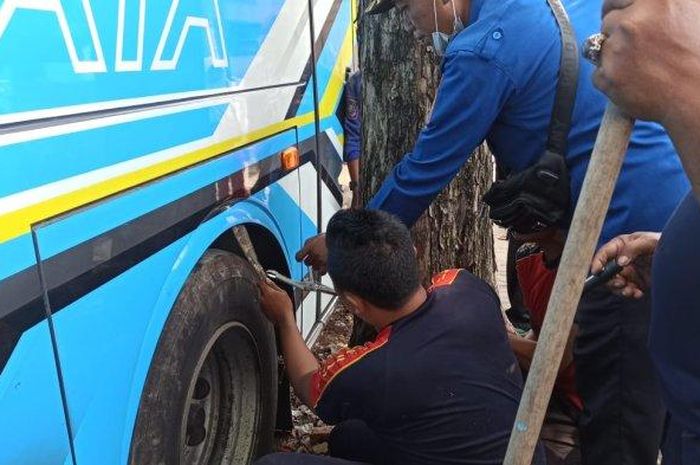 Petugas pemadam kebakaran mengevakuasi biawak dari dalam sasis bus mogok di tepi jalan 