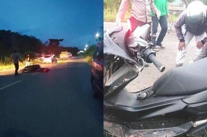 Pengendara Yamaha NMAX tewas setelah tabrak kerbau di tengah Jl Ahmad Yani, desa Jorong, Tanah Laut, Kalimantan Selatan