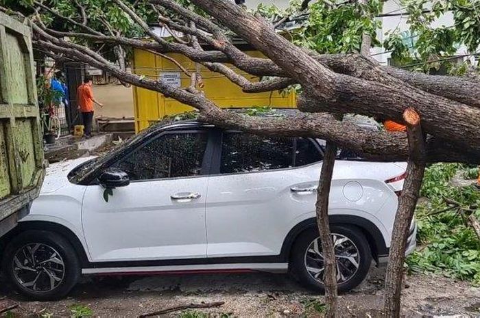 Pohon tumbang menimpa Hyundai Creta Prime di Jalan Danau Sunter Barat, Tanjung Priok, Jakarta Utara, Minggu (05/02/2023). 