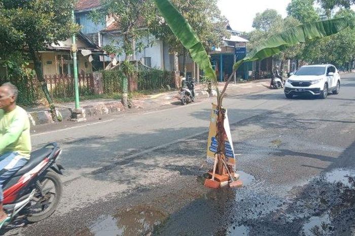 Warga sekitar lakukan cara unik untuk protes masalah kondisi jalan rusak di Jalan MR Iskandar, Pati, Jawa Tengah.
