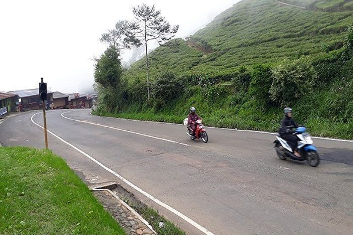 Ilustrasi jalur Puncak Bogor, Jawa Barat. Diberlakukan sistem ganjil genap selama libur lebaran cek pelat nomor sebelum berangkat.