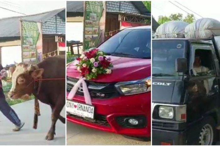 Seserahan pernikahan di desa Ngampelrejo, Bancar, Tuban berupa Honda Brio, Sapi sampai gabah 5 pikap
