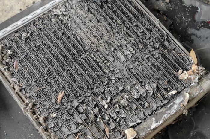 Ada alasan teknis bersihkan evaporator AC mobil lebih efektif jika dilepas. ILUSTRASI. Evaporator AC mobil yang kotor