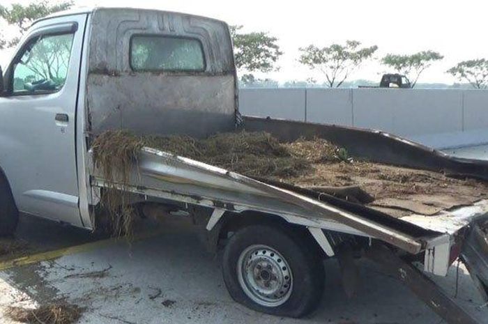 Daihatsu Gran Max muatan 50 ekor kambing kurban kecelakaan di ruas tol Ngawi-Kertosono, ban belakang meledak bebarengan