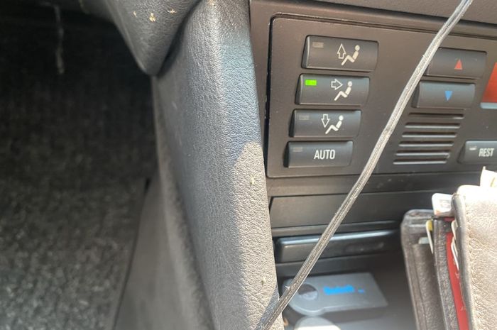 Semut di mobil harus langsung basmi ke sarangnya