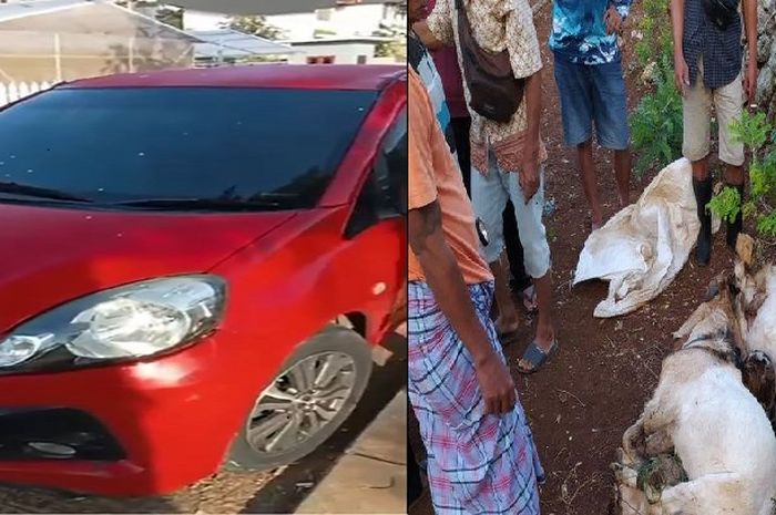 barang bukti Honda Brio milik rental mobil yang dipakai maling 5 ekor kambing di Tanjungsari, Gunungkidul