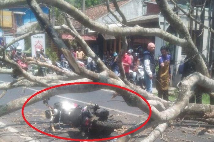 Dalam lingkaran merah Yamaha X-Ride yang tergeletak bersama pengendara usai digetok pohon tumbang di Jalan Raya Tangkuban Perahu, Kampung Ciburial, desa Cibogo, Lembang, KBB