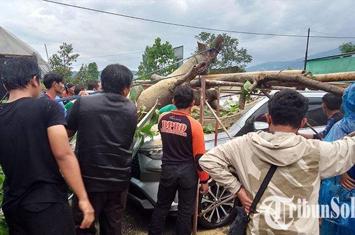 Toyota Veloz tertimpa pohon tumbang di dusun Pakel, Gerdu, Karangpandan, Karanganyar, Jawa Tengah