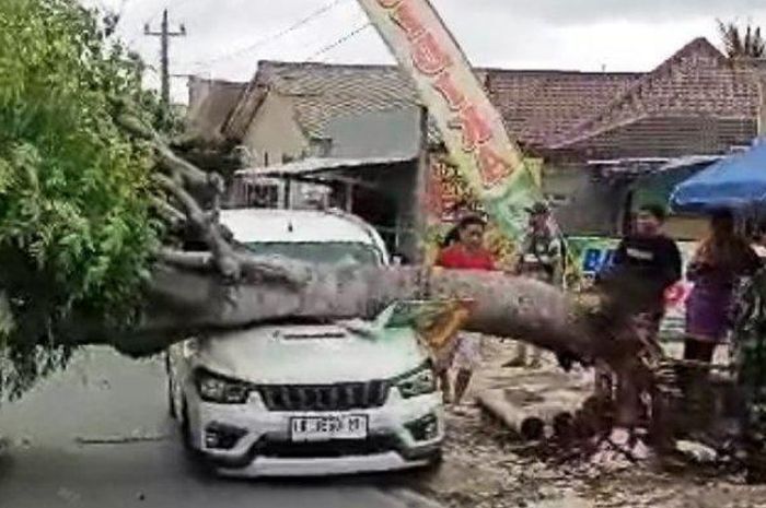 Wuling Confero tertimpa pohon tumbang akibat angin ribut di Jumantono, Karanganyar, Jawa Tengah