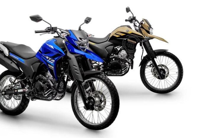 penampakan motor dual purposer 250 cc baru Yamaha Lander 250 2024