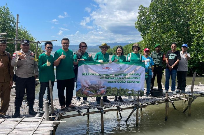 MPM lanjutkan komitmen program Rehabilitasi Mangrove di Muara Sungai Kali Terang