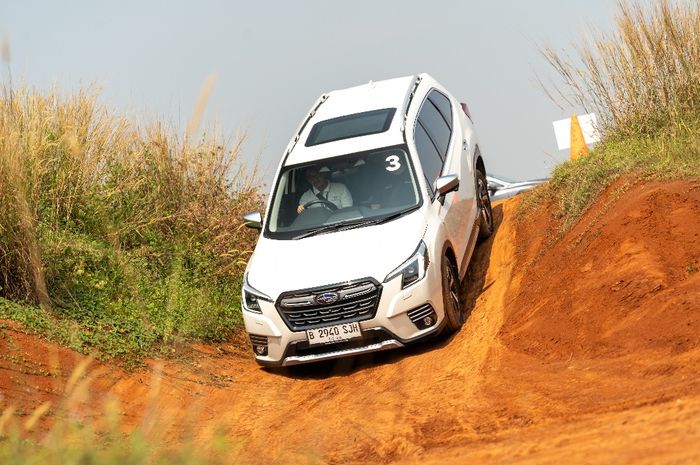 Subaru Forester Downhill