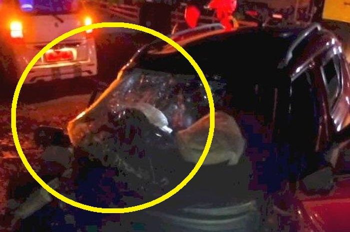 Bodi depan Suzuki Ignis remuk sejadi-jadinya, dalam lingkaran kuning pilar A sampai pintu pengemudi putus