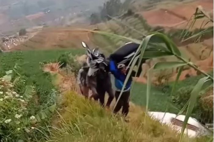 Cuplikan video seorang pria membopong Honda BeAT di jalanan curam perkebunan seorang diri