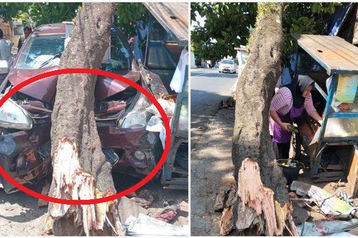 Toyota Avanza terjang pohon hingga roboh di samping gerobak penjual tahu gimbal di jalan Cemara, Banyumanik, Semarang