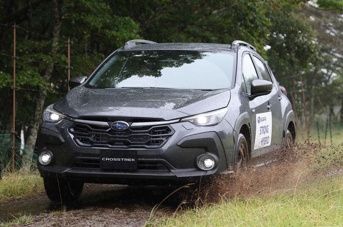 Subaru Crosstrek Strong Hybrid.