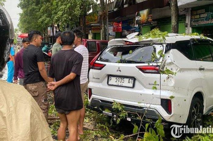 Mitsubishi Xpander ringsek tertimpa pohon tumbang akibat angin ribut di Jl Teuku Umar Bondowoso, Jawa Timur
