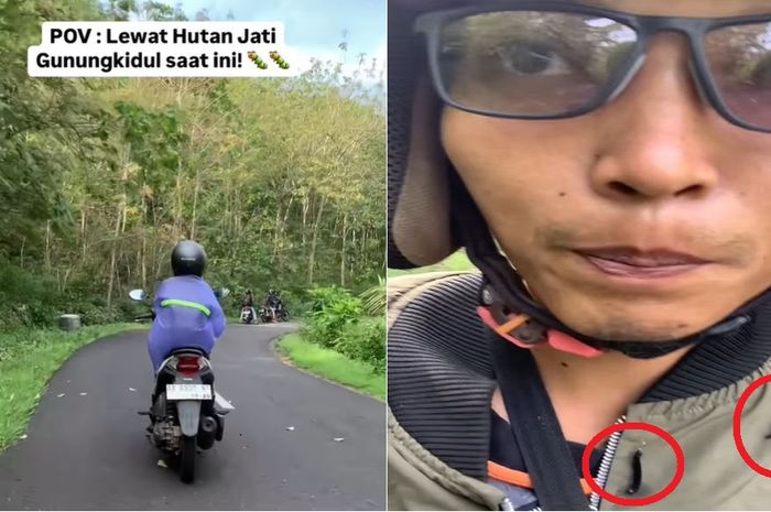 Rekaman video kondisi jalan di Gunungkidul, Yogyakarta yang tengah diserang ulat pohon jati, hingga beberapa pengendara motor memakai jas hujan meski panas terik