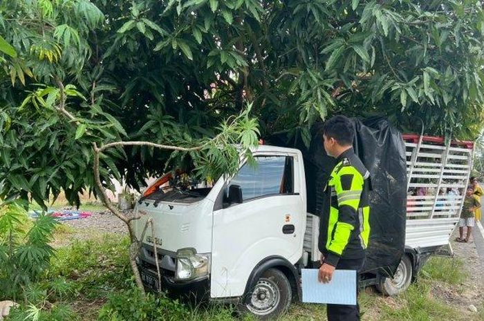 Isuzu Traga yang mengangkut rombongan pemburu babi kecelakaan akibat pecah ban belakang kanan, membuat tiga orang tewas terlempar