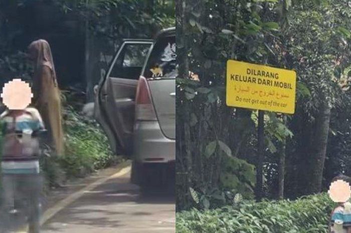 Kijang Innova sekeluarga ini masuk daftar hitam pengungjung Taman Safari Indonesia. Ulah kelakuan para penumpangnya