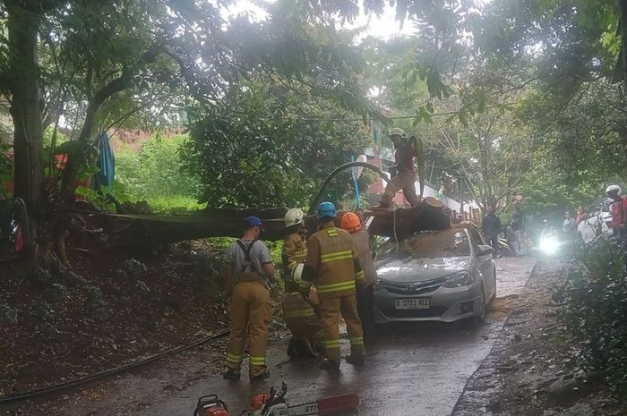 Tim rescue damkar PB mengevakuasi Toyota Etios Valco tertimpa pohon tua di Jalan Bukit Raya, Kota Bandung, Jawa Barat.