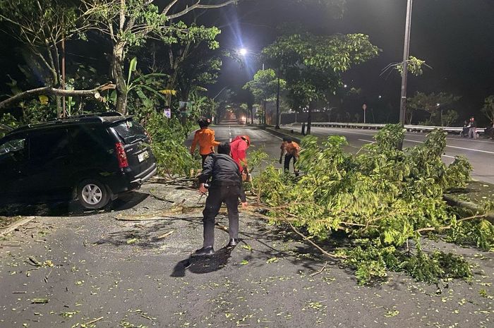 Petugas gabungan mengevakuasi batang dan ranting pohon yang tumbang akibat ditabrak Toyota Avanza hitam nopol AD 1298 JZ di Jalur Lingkar Salatiga, Jawa Tengah