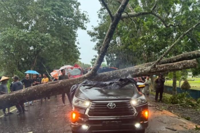 Toyota Kijang Innova Reborn yang dikemudikan Kanit Dalmas Polres Tanjung Jabung Timur, Ipda Almu Jamil hingga tewas akibat tertimpa pohon tumbang di Jalan Lintas Jambi-Muara Sabak, Zone III, Kecamatan Geragai, Tanjung Jabung Timur, Jambi