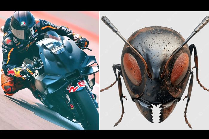 Fairing baru KTM mirip kepala semut