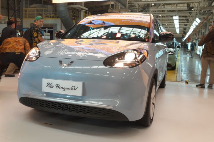 Wuling New BinguoEV 