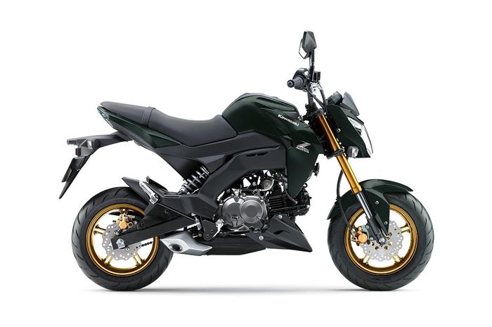 Kawasaki Z125 Pro Tahun 2026