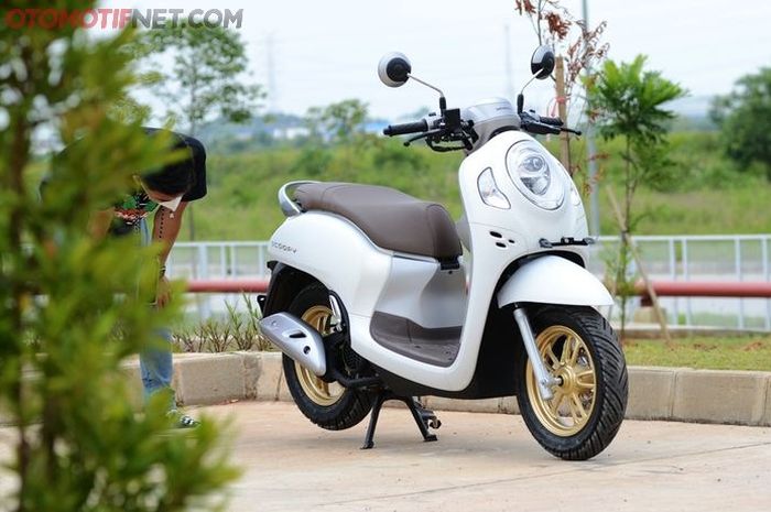 Honda Scoopy