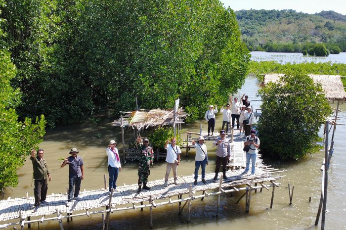 program rehabilitasi mangrove di wilayah Muara Sungai Terang, Desa Golo Sepang, Kabupaten Manggarai Barat, NTT, dengan menanam 40.000 bibit mangrove. 