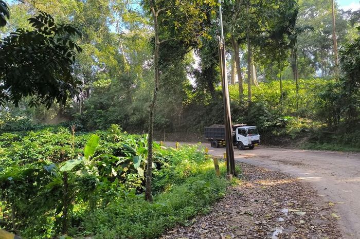 Suasana di salah satu tikungan jalur Gumitir Jember menuju Banyuwangi, (12/8/25)