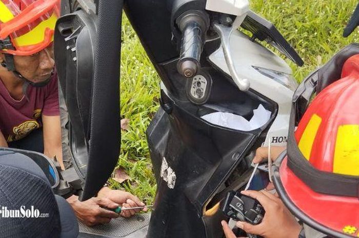 Dashboard Honda BeAT dibongkar petugas damkar usai ada reptil berbisa di dalam bodi
