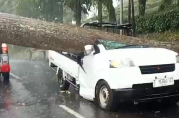 Atap pikap amblas digebrak pohon di tengah jalan. Sopir dan penumpang alami nasib tragis